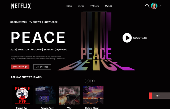 Netflix Clone UI design